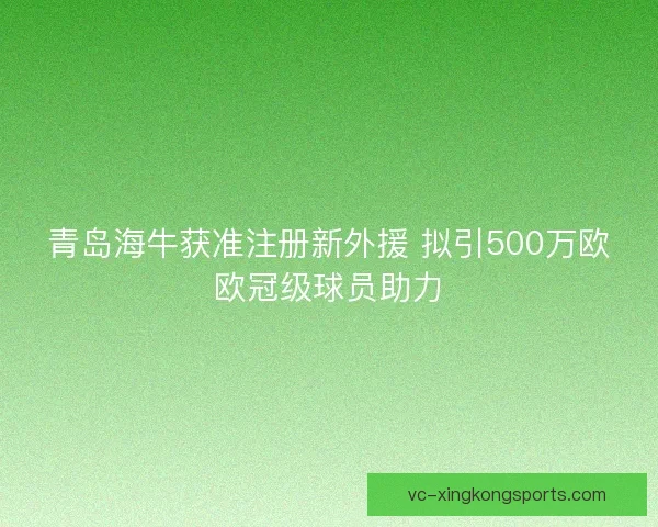青岛海牛获准注册新外援 拟引500万欧欧冠级球员助力